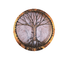 Naložite sliko v pregledovalnik galerije, samanski boben glasbila instrumenti zvocna kopel samanski bobni boben bobni lev