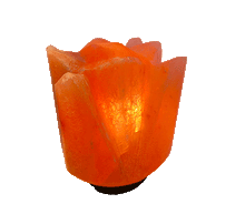 Naložite sliko v pregledovalnik galerije, Himalajska solna lucka naravna oblika astma svetilka elektrosmog solna luc madalbal solna svetilka himalajska solna lučka solna luč solna svetilka