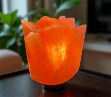 Naložite sliko v pregledovalnik galerije, Himalajska solna lucka naravna oblika astma svetilka elektrosmog solna luc madalbal solna svetilka himalajska solna lučka solna luč solna svetilka