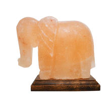 Naložite sliko v pregledovalnik galerije, himalajska solna lučka himalajska lucka solna svetilka dom svetila luči astma zdravje himalajska solna svetilka ambient slon