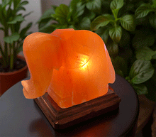 Naložite sliko v pregledovalnik galerije, himalajska solna lučka himalajska lucka solna svetilka dom svetila luči astma zdravje himalajska solna svetilka ambient slon