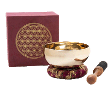 Naložite sliko v pregledovalnik galerije, tibetanska pojoča posoda pojoča skleda tibetanska pojoca posoda roža življenja cvet življenja glasbila instrumenti zvocna kopel tibetanska pojoca skleda cvet zivljenja