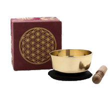 Naložite sliko v pregledovalnik galerije, tibetanska pojoča posoda pojoča skleda tibetanska pojoca posoda roža življenja cvet življenja glasbila instrumenti zvocna kopel tibetanska pojoca skleda cvet zivljenja