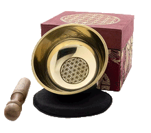 Naložite sliko v pregledovalnik galerije, tibetanska pojoča posoda pojoča skleda tibetanska pojoca posoda roža življenja cvet življenja glasbila instrumenti zvocna kopel tibetanska pojoca skleda cvet zivljenja