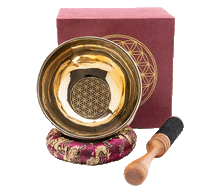 Naložite sliko v pregledovalnik galerije, tibetanska pojoča posoda pojoča skleda tibetanska pojoca posoda roža življenja cvet življenja glasbila instrumenti zvocna kopel tibetanska pojoca skleda cvet zivljenja