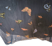 Naložite sliko v pregledovalnik galerije, ženski šal poletni šali modni sal metulj sali prehodni sal metulji bombaž bombaz svila ženski šali moda udoben šal mehek sal jesenski šal ženski šal ugodni šali