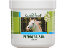 Naložite sliko v pregledovalnik galerije, Konjski balzam hladilna krema hladilni konjski gel bolecina v misicah zvin opeklina krauterfoh boleci sklepi