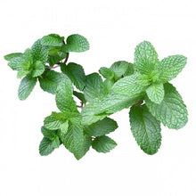 Naložite sliko v pregledovalnik galerije, Meta hladilni gel eis gel bolece noge od kolena navzdol otekle noge