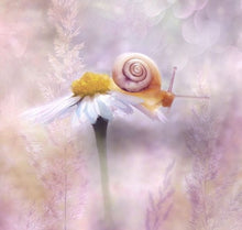 Naložite sliko v pregledovalnik galerije, polzja krema hialoron regeneracija alantoin krema proti gubam polzja slina antiage gube