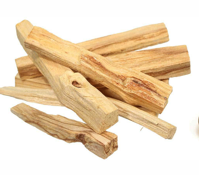 Palo Santo kadilo pravi sveti les v kosu energetsko ciscenje prostora palo santo nakup sveti les nakup