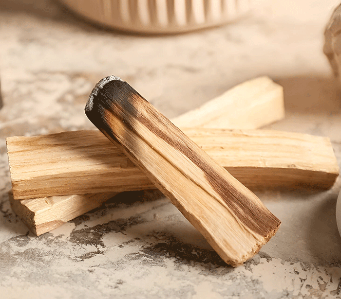 Palo Santo kadilo pravi sveti les v kosu energetsko ciscenje prostora palo santo nakup sveti les nakup