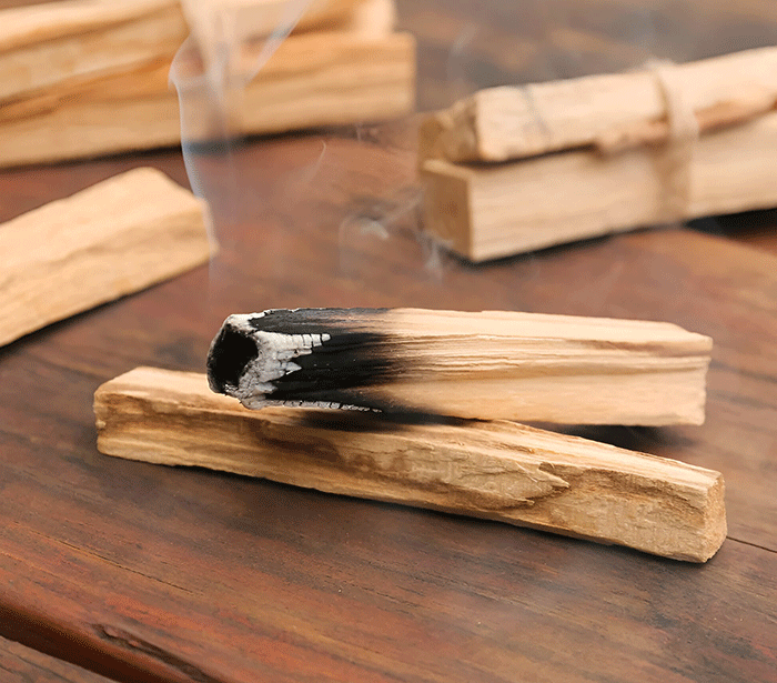 Palo Santo kadilo pravi sveti les v kosu energetsko ciscenje prostora palo santo nakup sveti les nakup