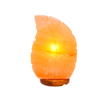 Naložite sliko v pregledovalnik galerije, himalajska solna lučka himalajska lucka solna svetilka dom svetila luči astma zdravje himalajska solna svetilka 
