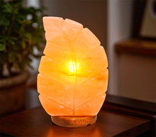 Naložite sliko v pregledovalnik galerije, himalajska solna lučka himalajska lucka solna svetilka dom svetila luči astma zdravje himalajska solna svetilka 
