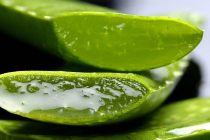 Aloe vera gel po soncenju blazi opekline