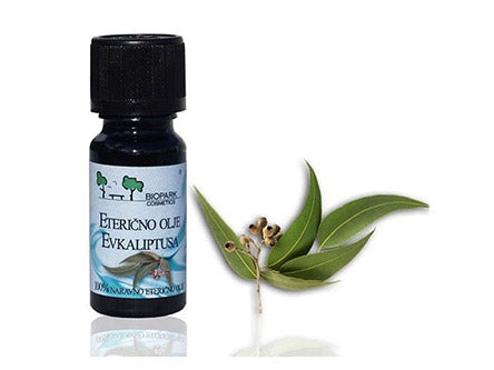 Etericno olje evkaliptus evkaliptusovo olje prehlad gripa piki zuzelk evkaliptus etericno olje vnetje koze z rdecino